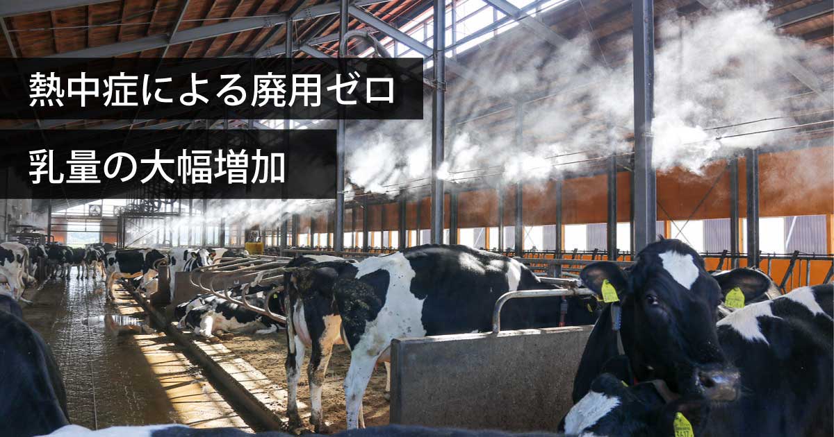 TNEWTIES この牧場のオーナー こんばんは! ウィルです‼️ ・ 今回は中標津『小沼牧場』さんに
