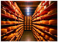 Case study | humidification for cheese storage