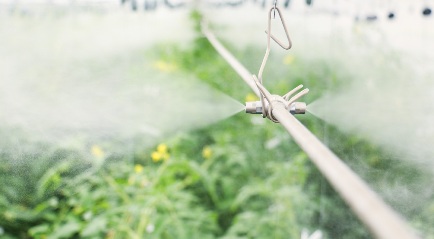 実際の農場で、霧の細かさや噴霧の様子を見て触れて体感でき、導入に必要な設備や設置スペースまで具体的に把握できます。