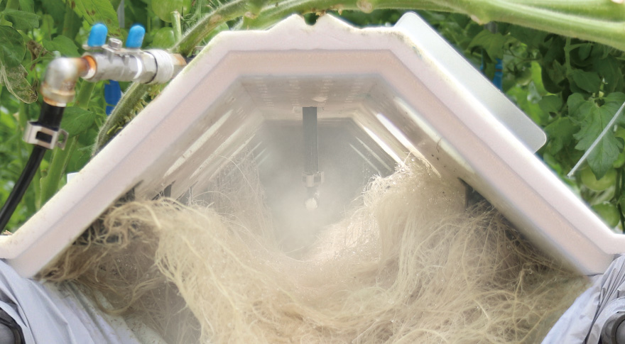 冷房・加湿・薬液散布を担う CoolPescon と、根域に霧を充満させて栽培する IKEUCHIPonics を同時に見学できます。