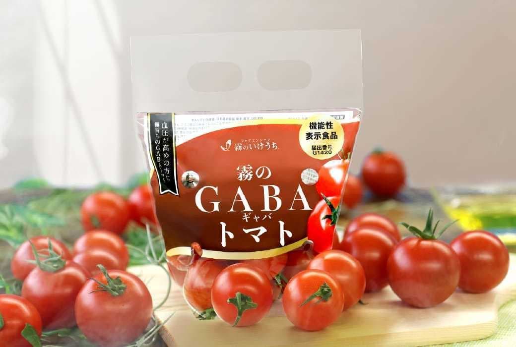 霧のトマト│霧のいけうち