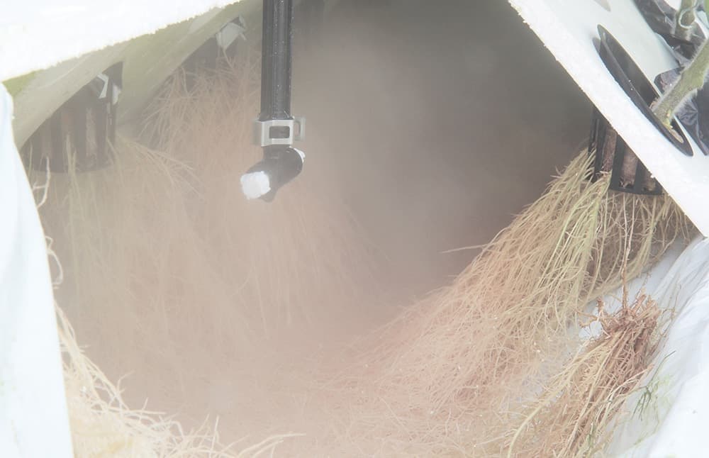 根の呼吸量を高く維持することで養水分を効率よく吸収