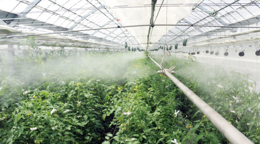 冷房・加湿の様子