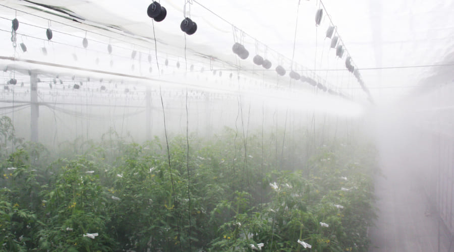 薬液散布の様子