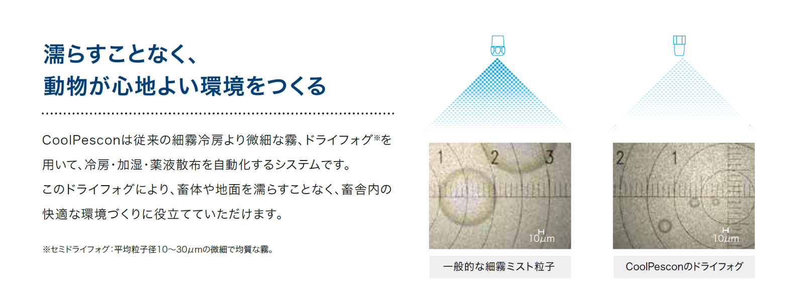CoolPesconとは？