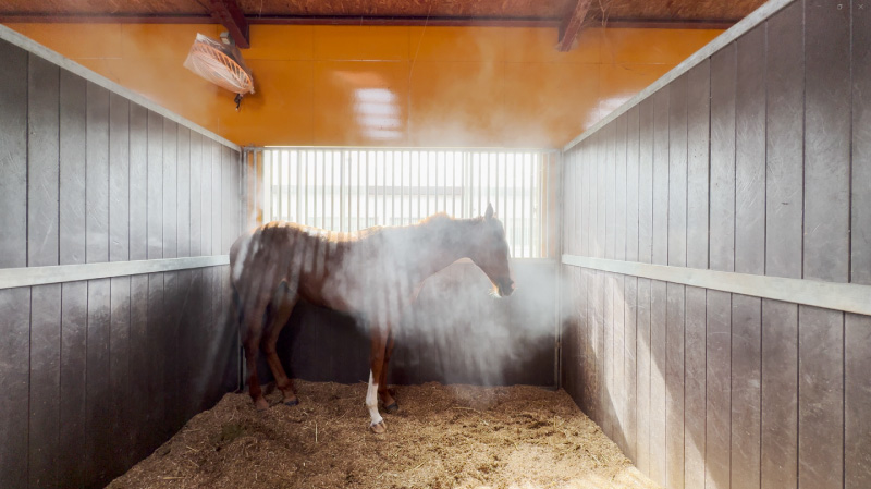 厩舎の様子1