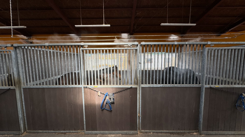 厩舎の様子6