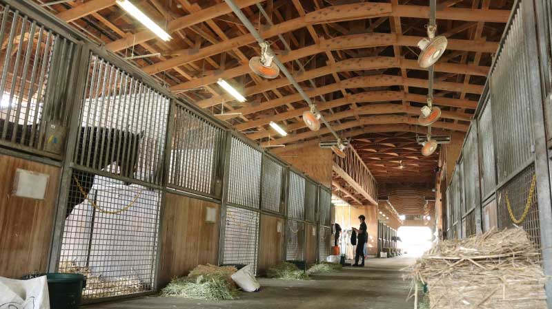 厩舎の様子3