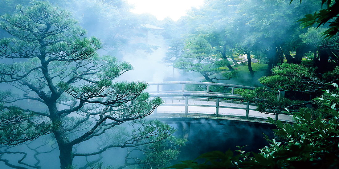 写真:涼霧システム導入後の様子