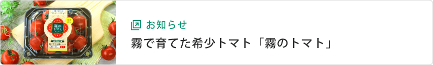 お知らせ：霧で育てた希少トマト「霧のトマト」販売サイト
