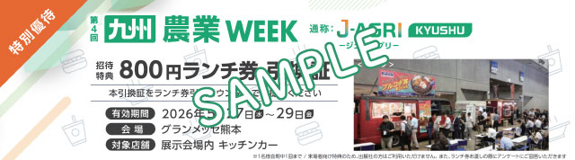 800円ランチ券